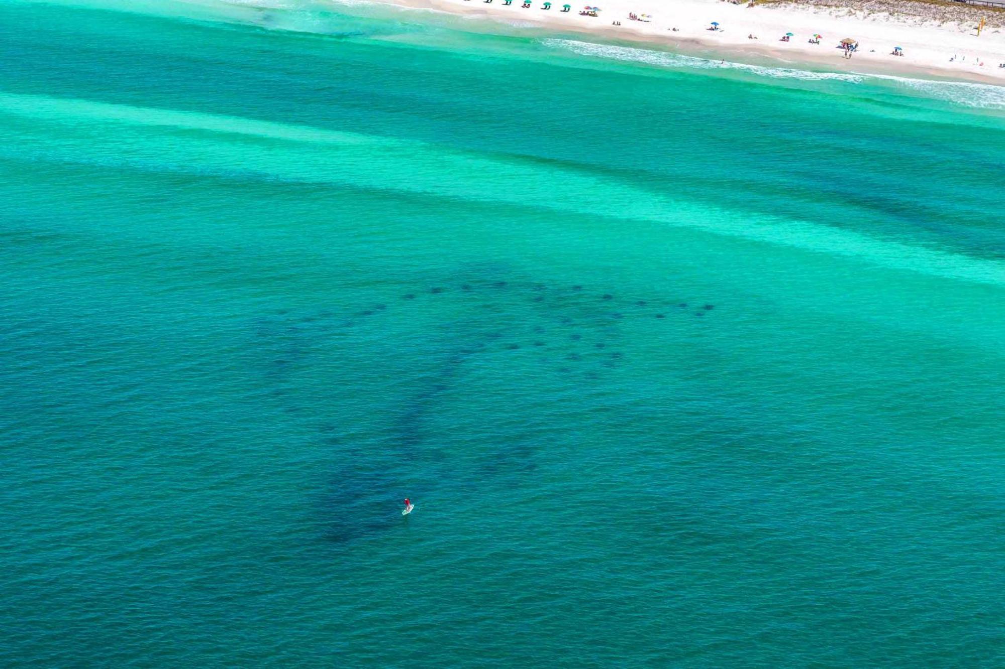 Beach Resort 406 Destin Extérieur photo